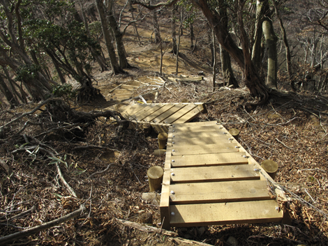20190108hike (343)